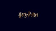 Harry Potter (Image via Harry Potter)